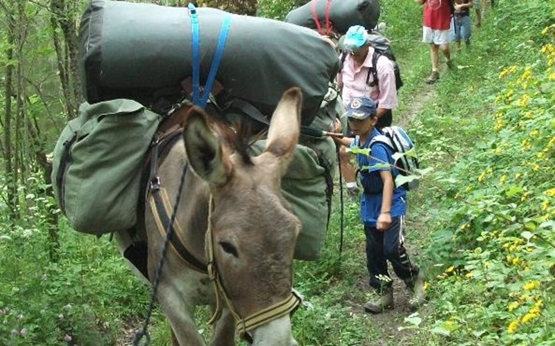 Location Ravitaillons le refuge avec les ânes à CHAMPOLEON