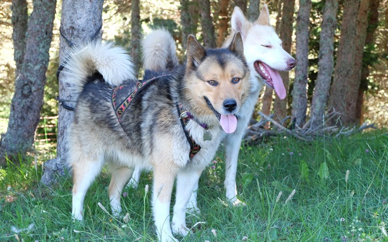 Vacances complices Location Vacances complices à