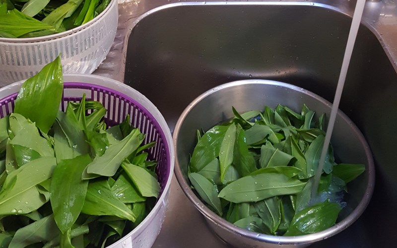 Gite d'étape de Saint Disdier Location Gite d'étape de Saint Disdier à ST DISDIER