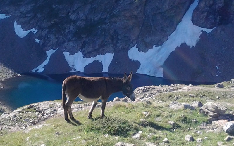 Refuge Evariste Chancel Location Refuge Evariste Chancel à LA GRAVE