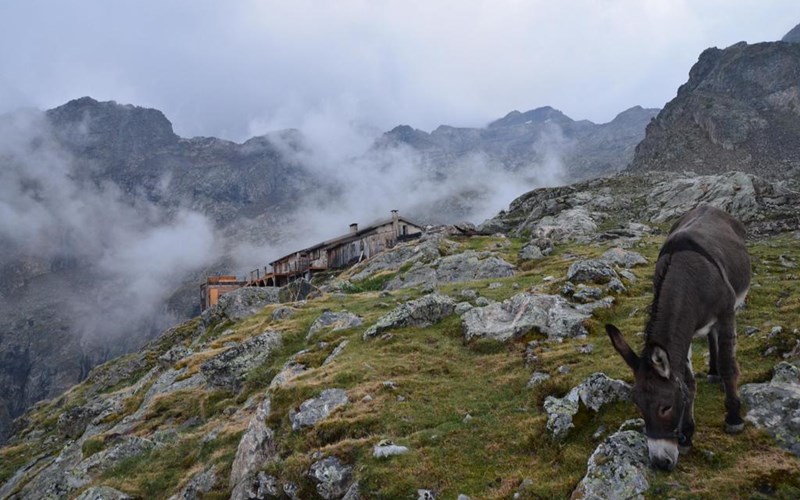 Refuge Evariste Chancel Location Refuge Evariste Chancel à LA GRAVE