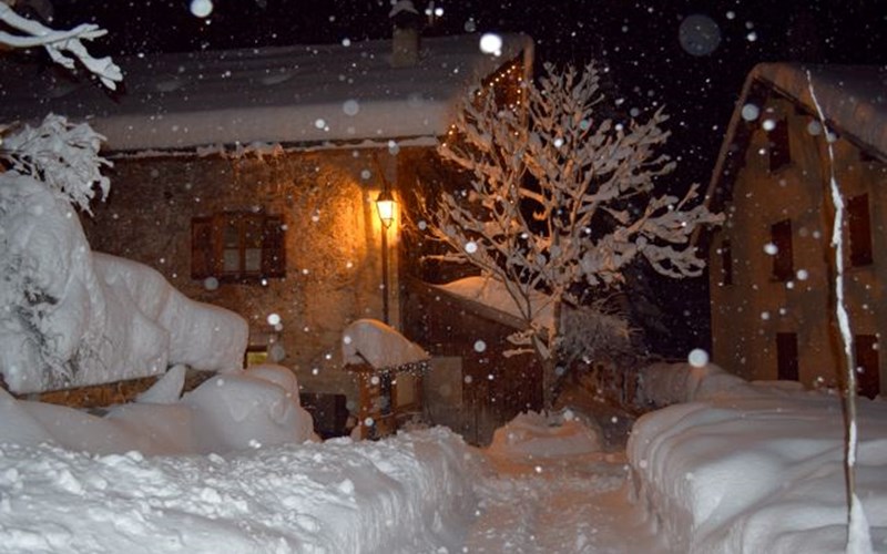 LE CREUX DES SOUCHES Location LE CREUX DES SOUCHES à NEVACHE