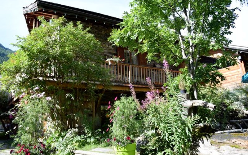 LE CREUX DES SOUCHES Location LE CREUX DES SOUCHES à NEVACHE