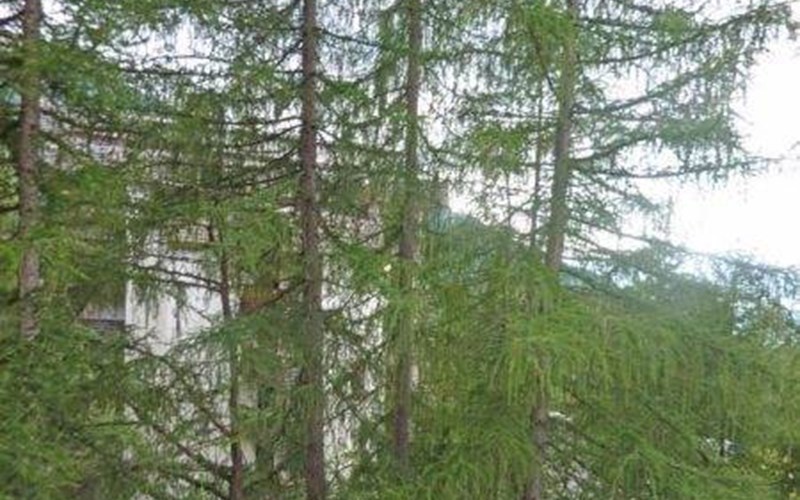 25 L' Epervière 2 pièces 6 personnes   Sud Est Location 25 L' Epervière 2 pièces 6 personnes   Sud Est à LES ORRES