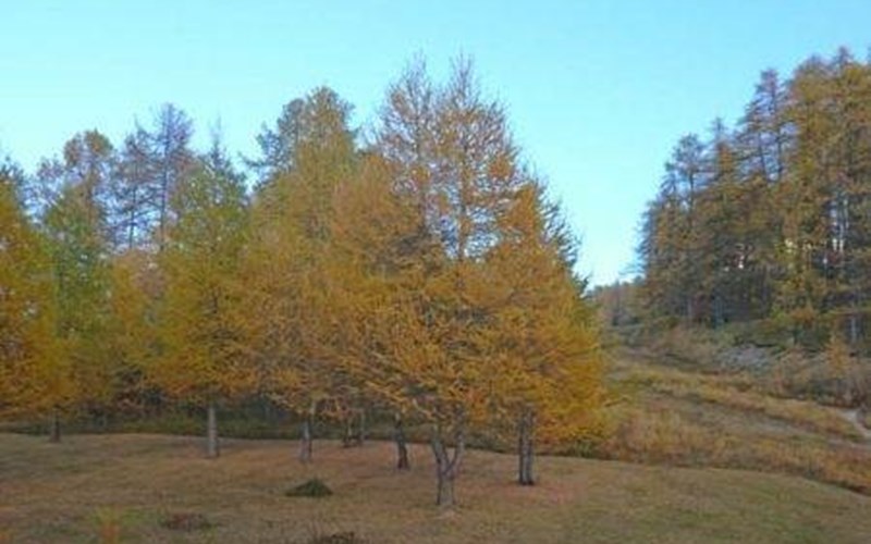 30 L'Epervière Studio 4 personnes  Sud Location 30 L'Epervière Studio 4 personnes  Sud à LES ORRES