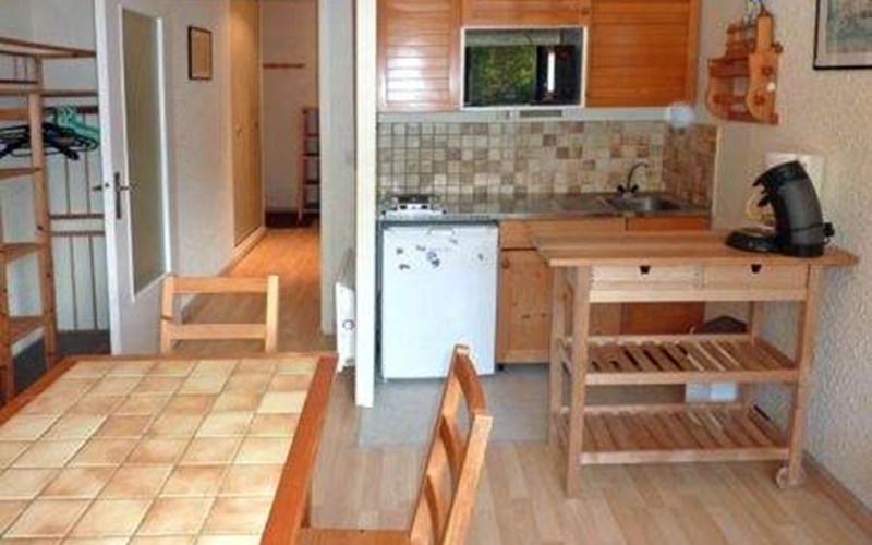 33 Les Orrianes des Forêts Studio 4 personnes  S/O Location 33 Les Orrianes des Forêts Studio 4 personnes  S/O à LES ORRES