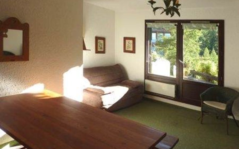 134 Les Orrianes des Forêts 2 pièces 6 personnes  Sud Location 134 Les Orrianes des Forêts 2 pièces 6 personnes  Sud à LES ORRES