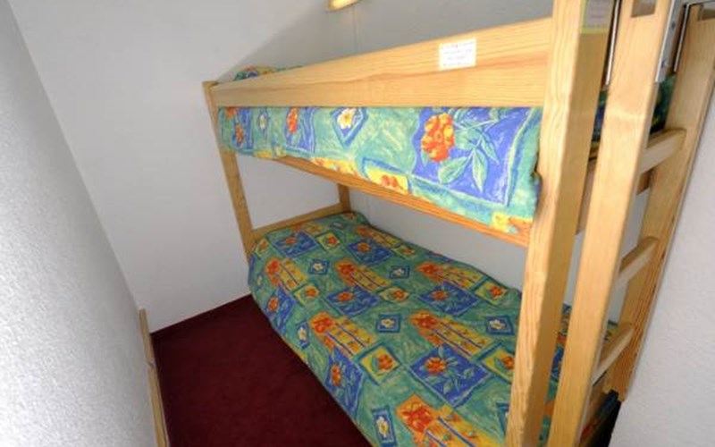 Studio + Coin Montagne 4 Pers PLAINE ALPE2 CAN SA Location Studio + Coin Montagne 4 Pers PLAINE ALPE2 CAN SA à ST CHAFFREY