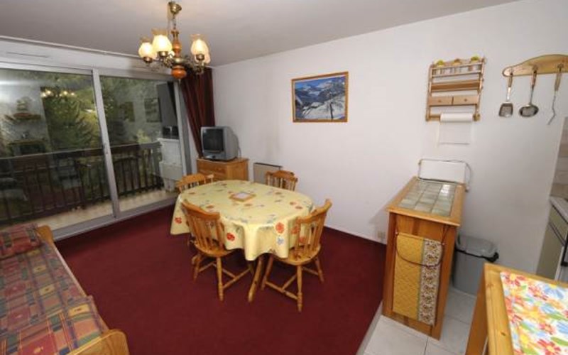 Studio + Coin Montagne 4 Pers PLAINE ALPE2 CAN SA Location Studio + Coin Montagne 4 Pers PLAINE ALPE2 CAN SA à ST CHAFFREY