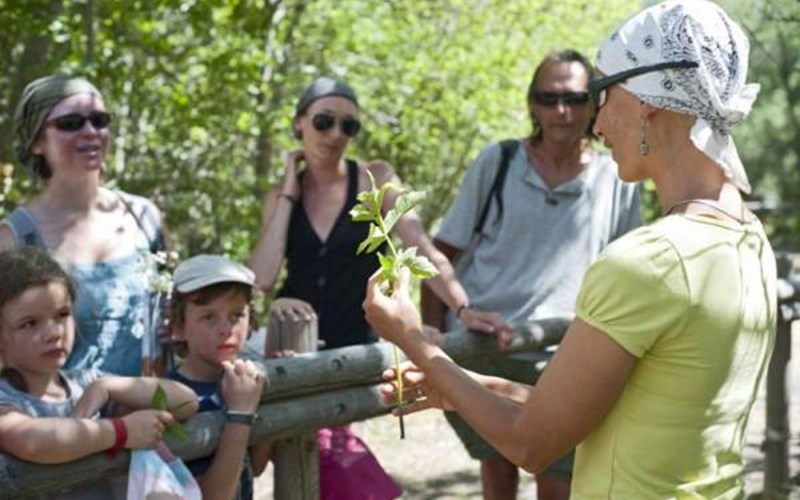 Huttopia Vallouise Location Huttopia Vallouise à VALLOUISE