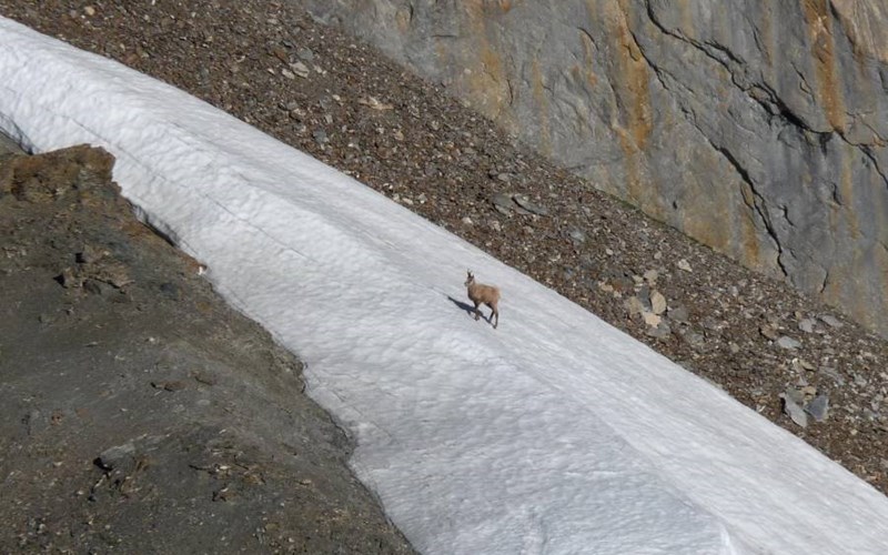 CAMPING LA ROCHETTE Location CAMPING LA ROCHETTE à GUILLESTRE