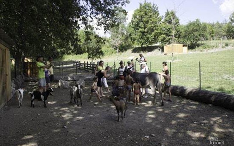 Camping Koawa Les Noyers Location Camping Koawa Les Noyers à ORPIERRE