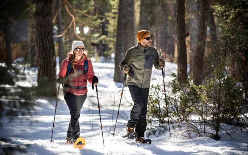Les Chalets de Huttopia la Clarée Location Les Chalets de Huttopia la Clarée à VAL DES PRES