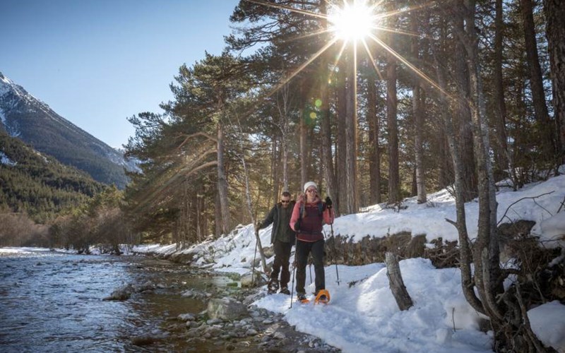 Les Chalets de Huttopia la Clarée Location Les Chalets de Huttopia la Clarée à VAL DES PRES