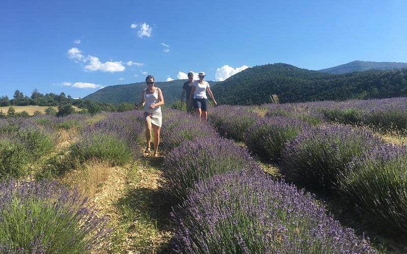 Flower Camping Les Hauts de Rosans Location Flower Camping Les Hauts de Rosans à ROSANS