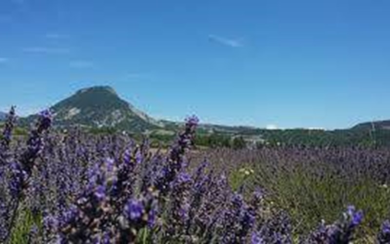 Flower Camping Les Hauts de Rosans Location Flower Camping Les Hauts de Rosans à ROSANS