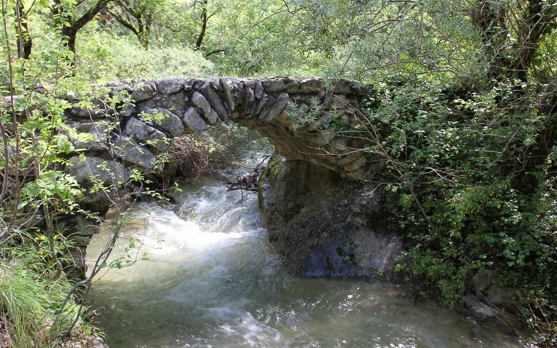 Camping Les Rives du Lac Location Camping Les Rives du Lac à VEYNES