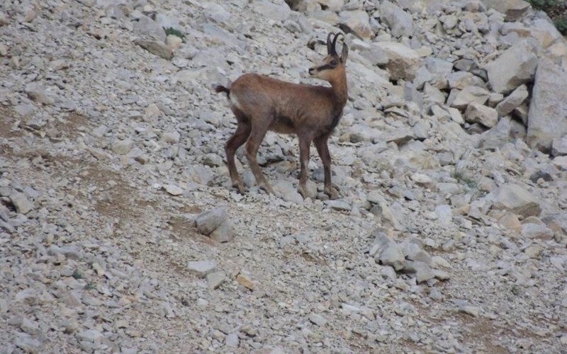 Camping Les Rives du Lac Location Camping Les Rives du Lac à VEYNES