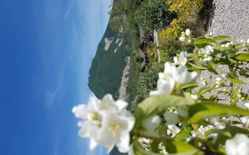 Camping Les Rives du Lac Location Camping Les Rives du Lac à VEYNES