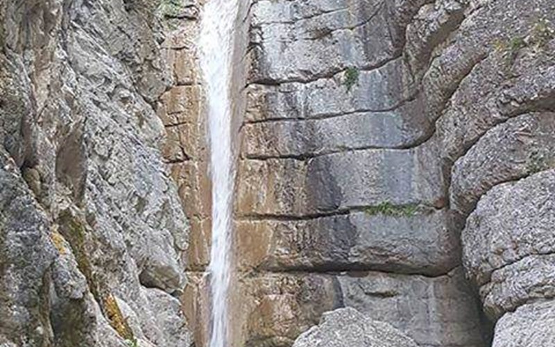 LE PARC DES SERIGONS Location LE PARC DES SERIGONS à LA ROCHE DES ARNAUDS