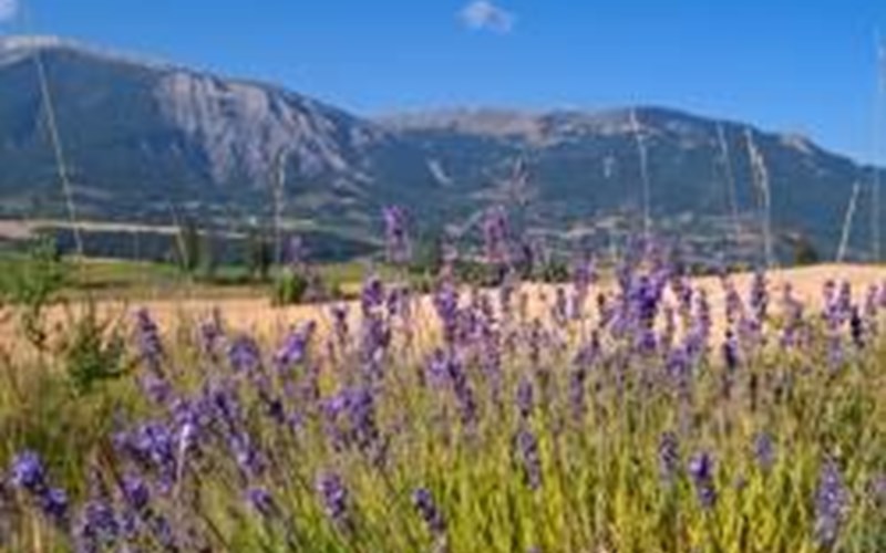LE PARC DES SERIGONS Location LE PARC DES SERIGONS à LA ROCHE DES ARNAUDS