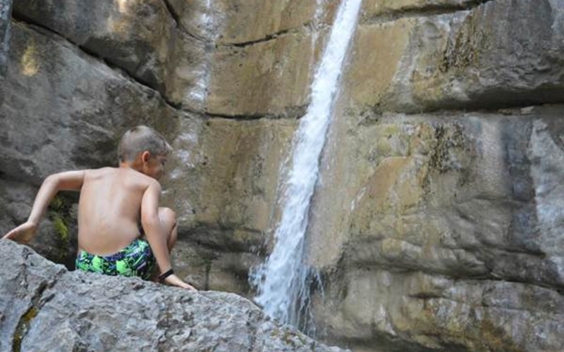 LE PARC DES SERIGONS Location LE PARC DES SERIGONS à LA ROCHE DES ARNAUDS