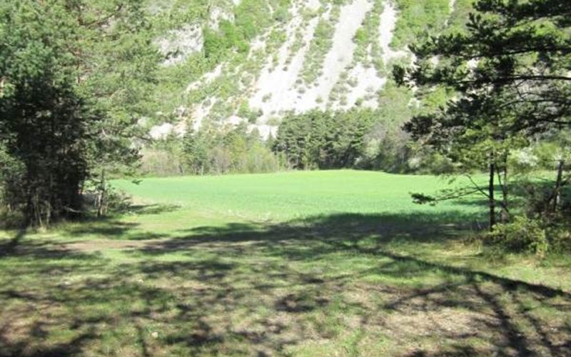 LE PARC DES SERIGONS Location LE PARC DES SERIGONS à LA ROCHE DES ARNAUDS