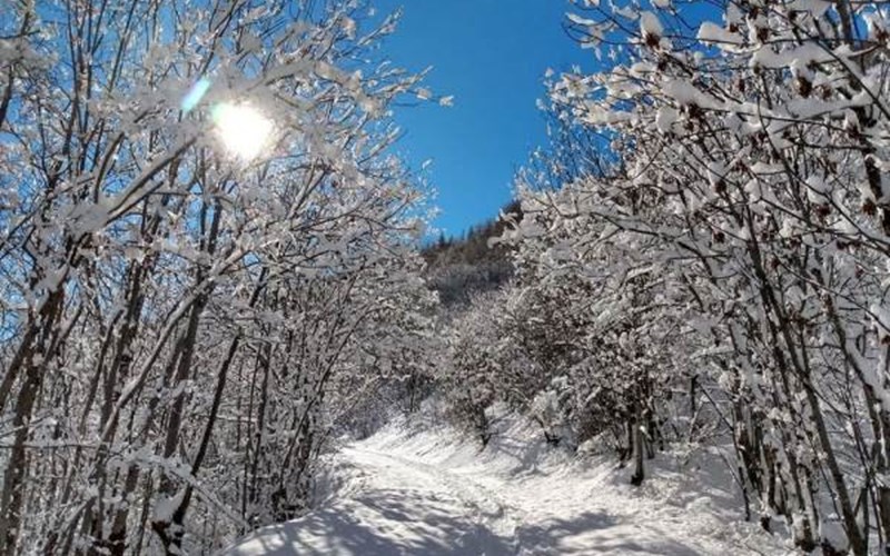 Camping-Caravaneige l'Iscle de Prelles Location Camping-Caravaneige l'Iscle de Prelles à ST MARTIN DE QUEYRIERE