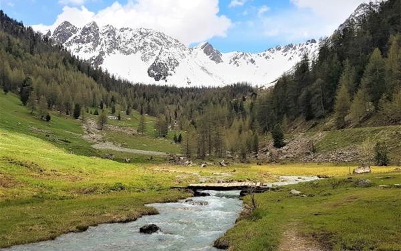 Camping-Caravaneige l'Iscle de Prelles Location Camping-Caravaneige l'Iscle de Prelles à ST MARTIN DE QUEYRIERE