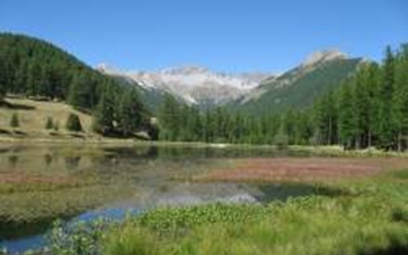 Camping Chalets Résidentiels SAINT JAMES LES PINS Location Camping Chalets Résidentiels SAINT JAMES LES PINS à GUILLESTRE