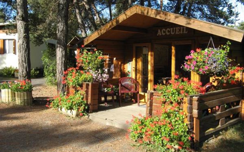 Camping Le Diamant Location Camping Le Diamant à ST JEAN ST NICOLAS