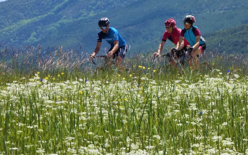 Sites et Paysages Les Prés Hauts Location Sites et Paysages Les Prés Hauts à SISTERON