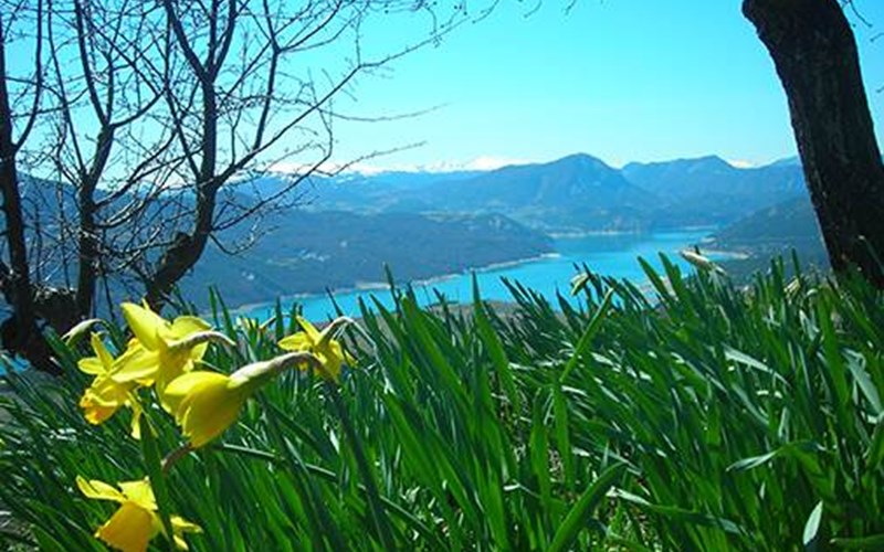 Camping Les Grillons Location Camping Les Grillons à EMBRUN