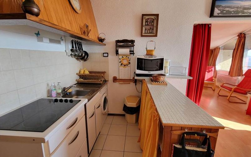 ALOUETTES Location ALOUETTES à ST MICHEL DE CHAILLOL