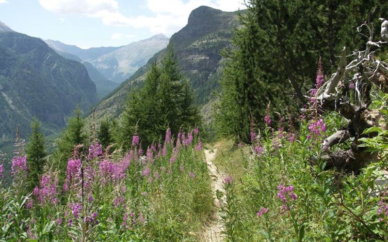 LA LOUZIERE Location LA LOUZIERE à ST MICHEL DE CHAILLOL