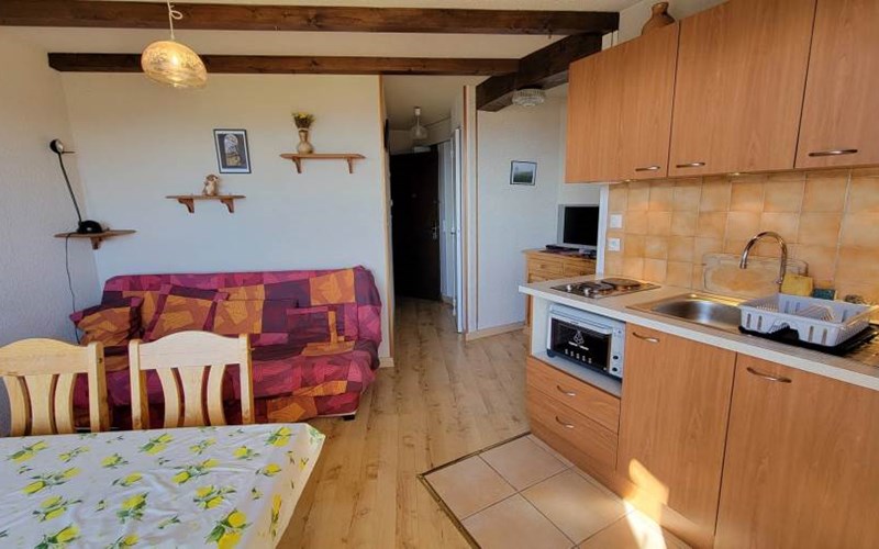 ANEMONES Location ANEMONES à ST MICHEL DE CHAILLOL