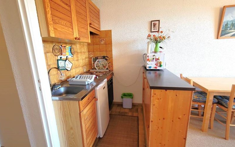 CHARDONS BLEUS Location CHARDONS BLEUS à ST MICHEL DE CHAILLOL