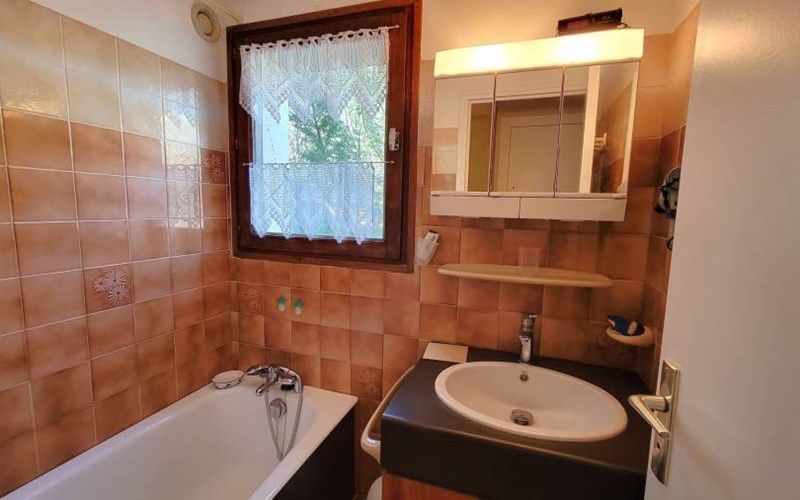 CHARDONS BLEUS Location CHARDONS BLEUS à ST MICHEL DE CHAILLOL