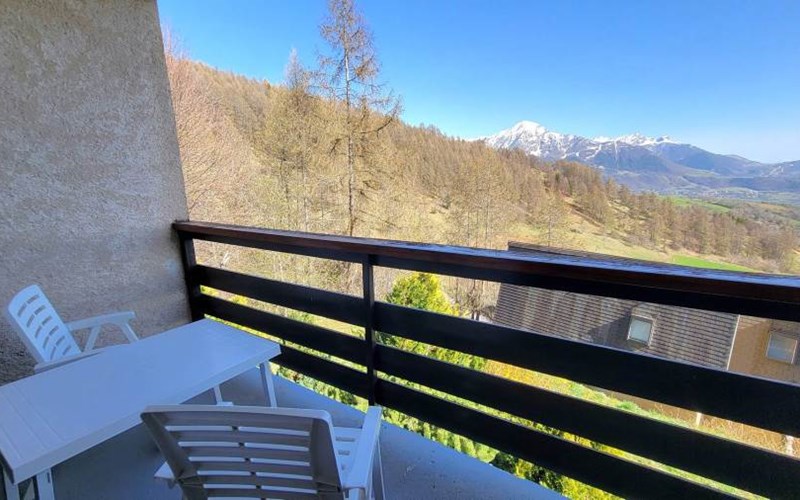 CHARDONS BLEUS Location CHARDONS BLEUS à ST MICHEL DE CHAILLOL