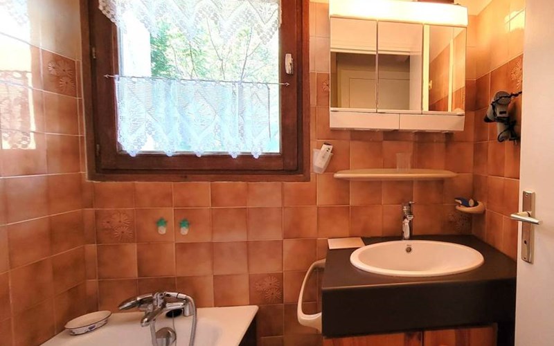 CHARDONS BLEUS Location CHARDONS BLEUS à ST MICHEL DE CHAILLOL