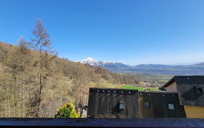 CHARDONS BLEUS Location CHARDONS BLEUS à ST MICHEL DE CHAILLOL