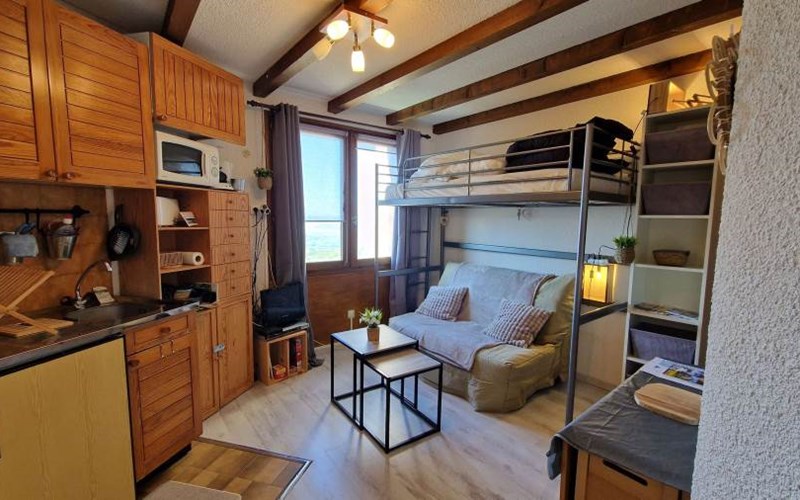 CHARDONS BLEUS Location CHARDONS BLEUS à ST MICHEL DE CHAILLOL