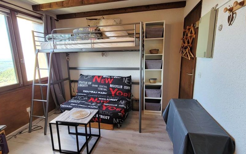 CHARDONS BLEUS Location CHARDONS BLEUS à ST MICHEL DE CHAILLOL