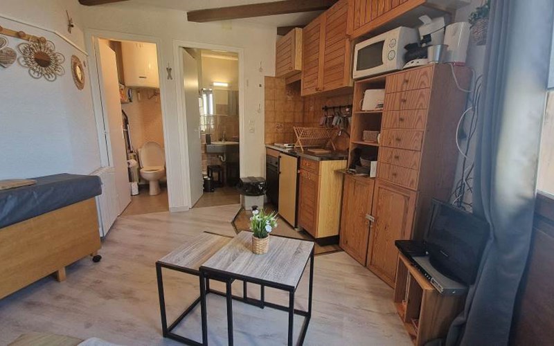 CHARDONS BLEUS Location CHARDONS BLEUS à ST MICHEL DE CHAILLOL