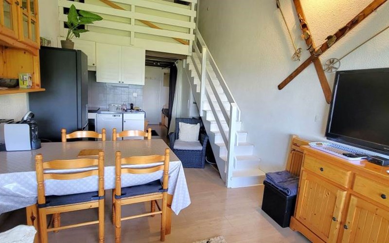 CHARDONS BLEUS Location CHARDONS BLEUS à ST MICHEL DE CHAILLOL