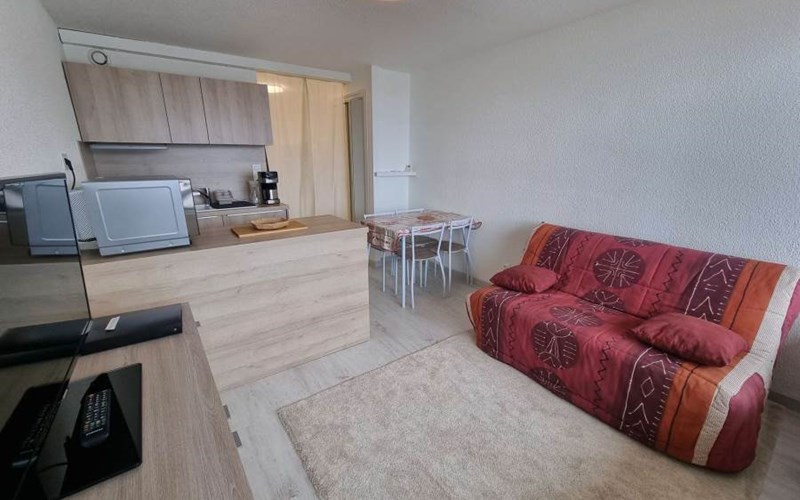 ANEMONES Location ANEMONES à ST MICHEL DE CHAILLOL