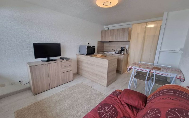 ANEMONES Location ANEMONES à ST MICHEL DE CHAILLOL