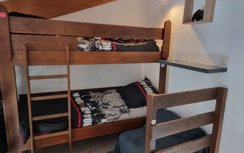 CHARDONS BLEUS Location CHARDONS BLEUS à ST MICHEL DE CHAILLOL