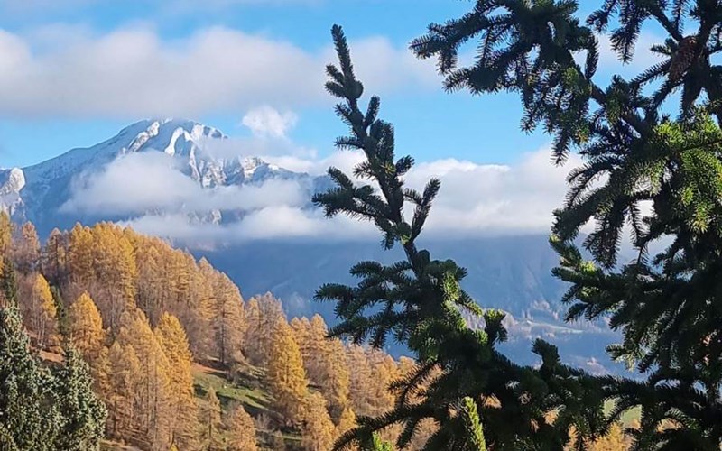 Chalet Le Bercail Location Chalet Le Bercail à ST MICHEL DE CHAILLOL