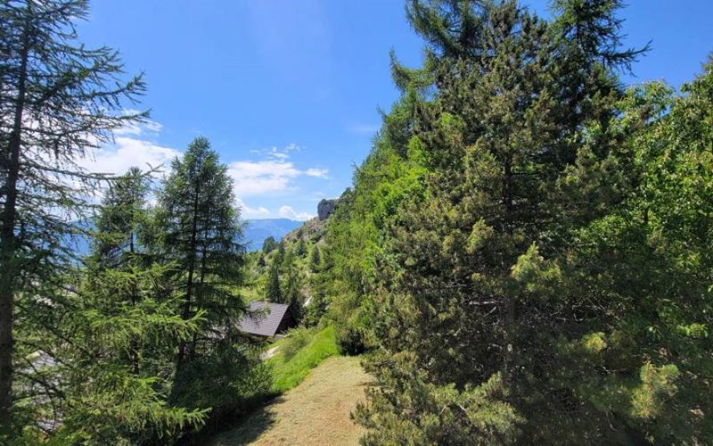 ALOUETTES Location ALOUETTES à ST MICHEL DE CHAILLOL